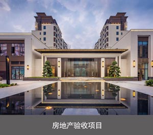 PJS簡易升降三層地坑式立體停車設備房地產驗收項目